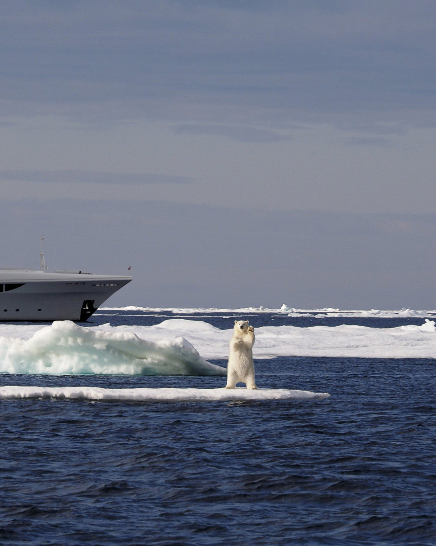 Vripack - yacht design - Latitude - The Northwest Passage - Ice bear