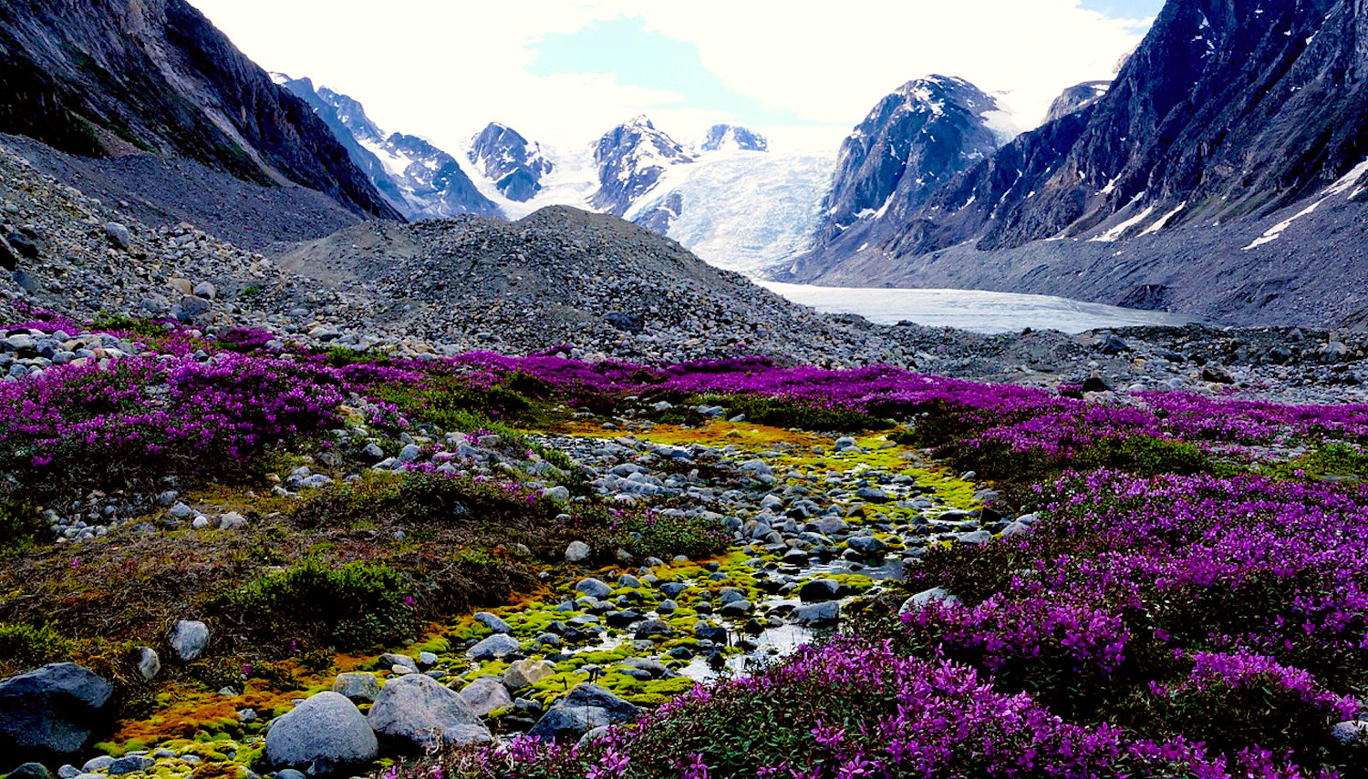 Vripack - Pioneer - Journey Alaska - Wildlife and nature photography