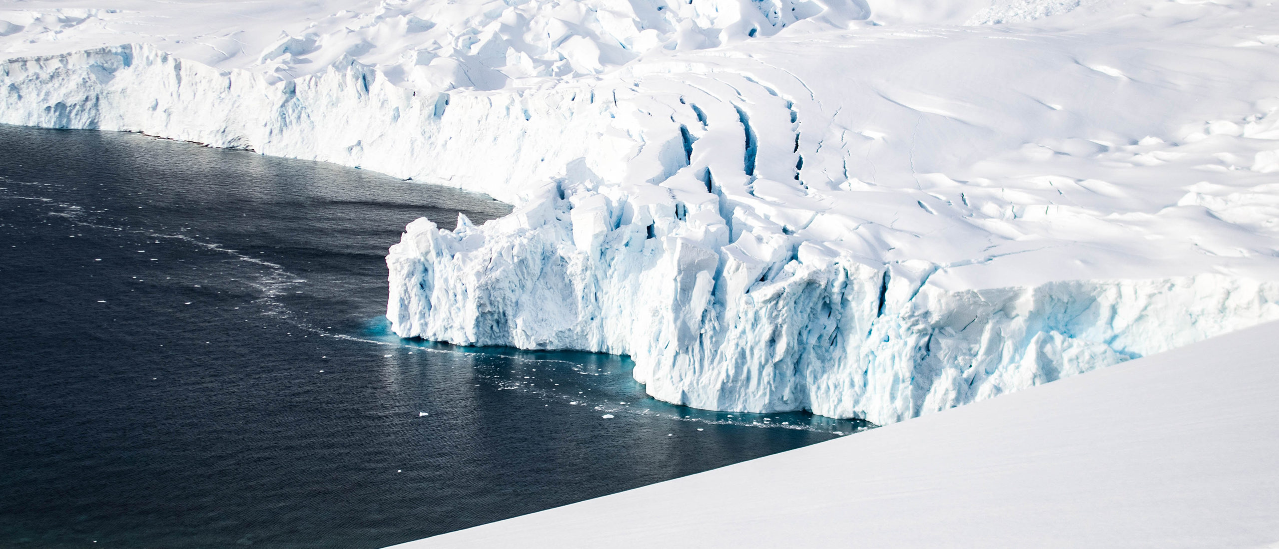 Vripack - Antarctica glaciers - Gayle Force - Doggersbank - Captain Scott - Nature and wildlife - Explorer yacht - Journey of a Lifetime