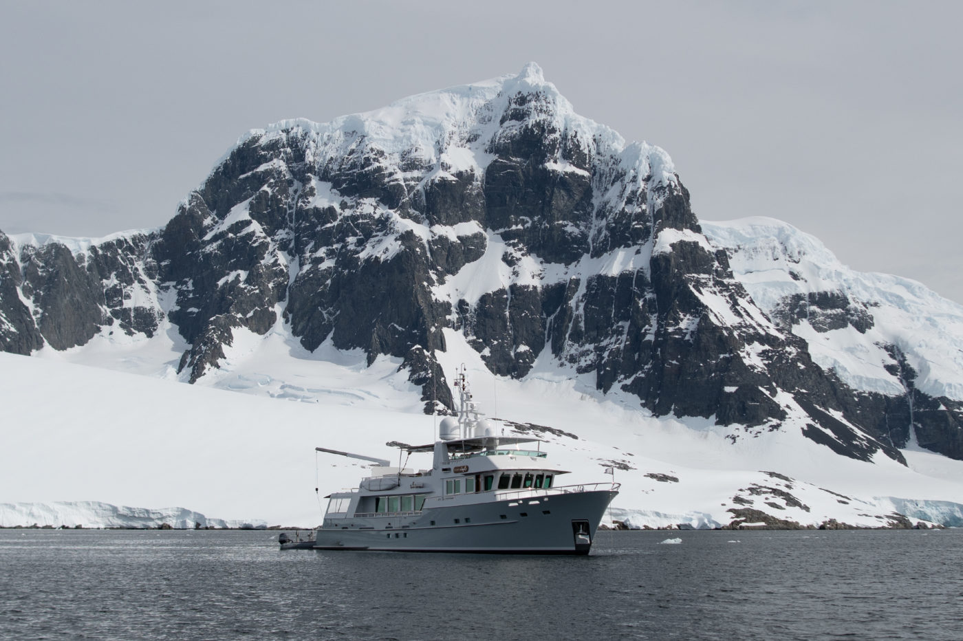 Vripack - Gayle Force - Doggersbank - Captain Scott - Antarctica Journey - Nature and wildlife