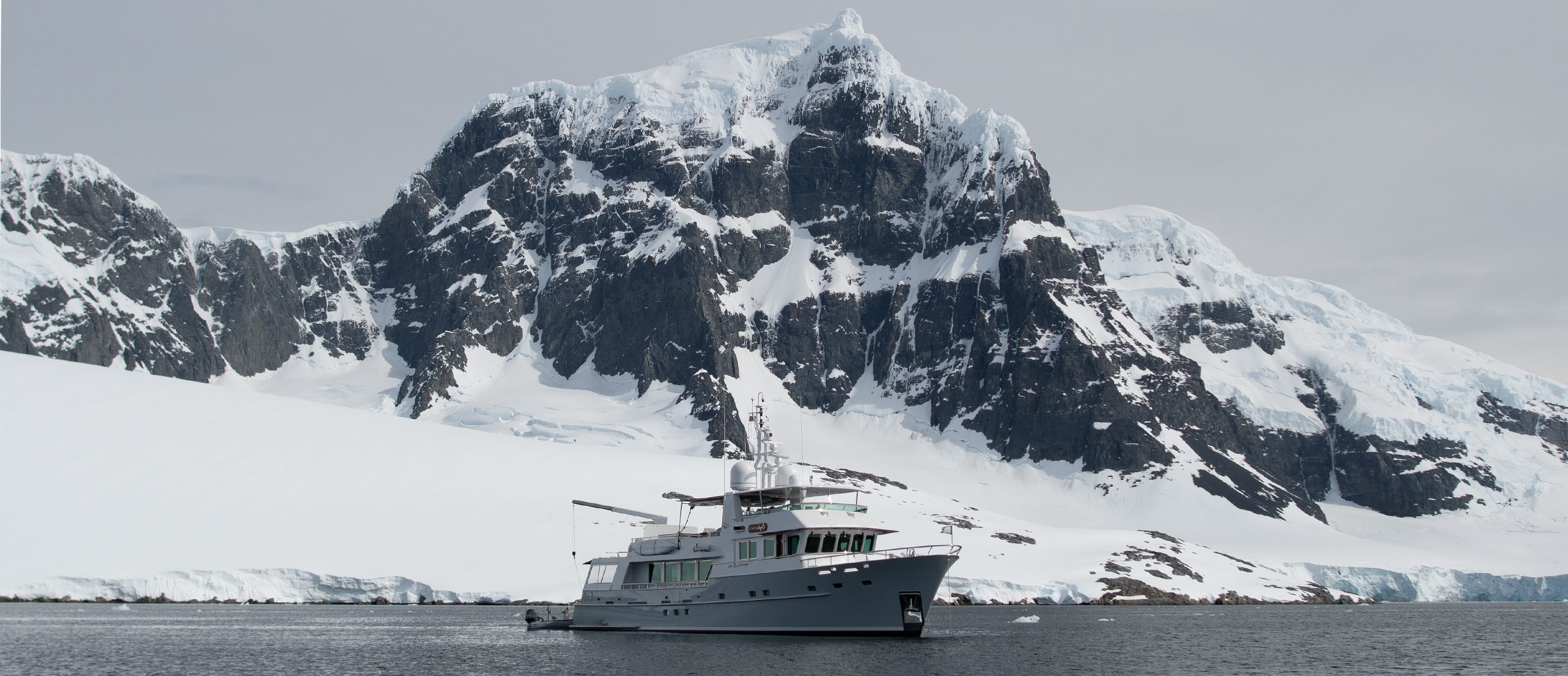 Vripack - Gayle Force - Doggersbank - Captain Scott - Antarctica Journey - Nature and wildlife