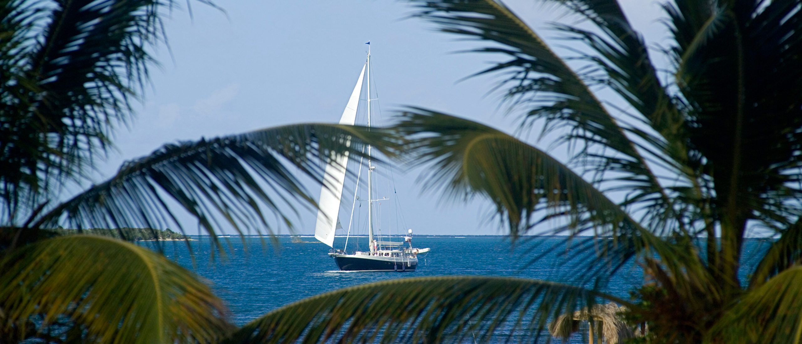 Lola E - Sailing - Boat - Palm trees
